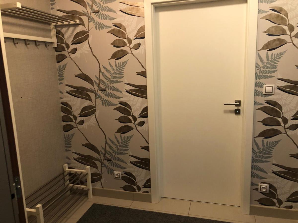 Apartman V Zeleni Dolní Morava Buitenkant foto