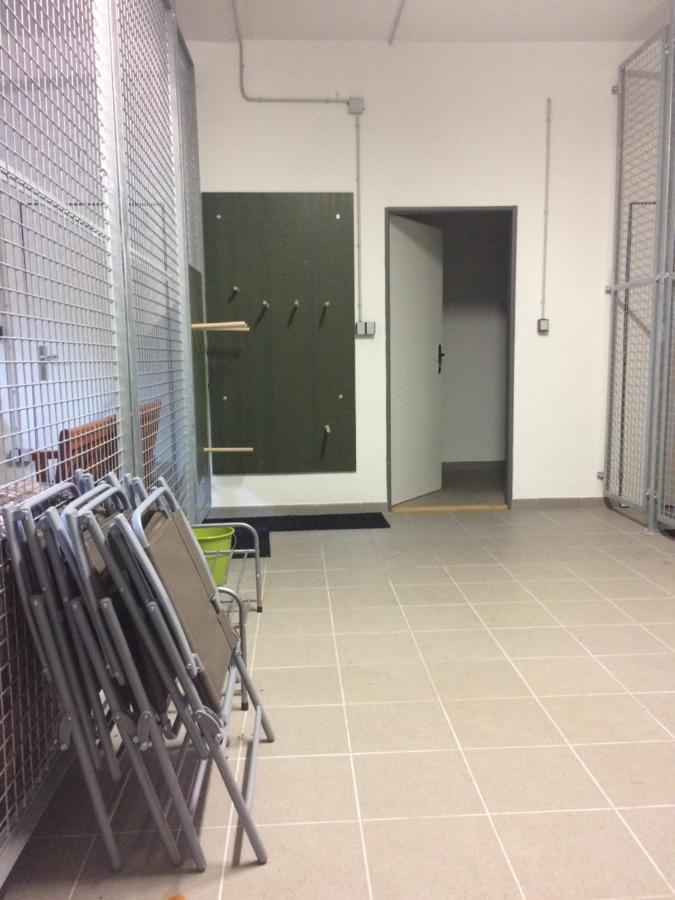 Apartman V Zeleni Dolní Morava Buitenkant foto